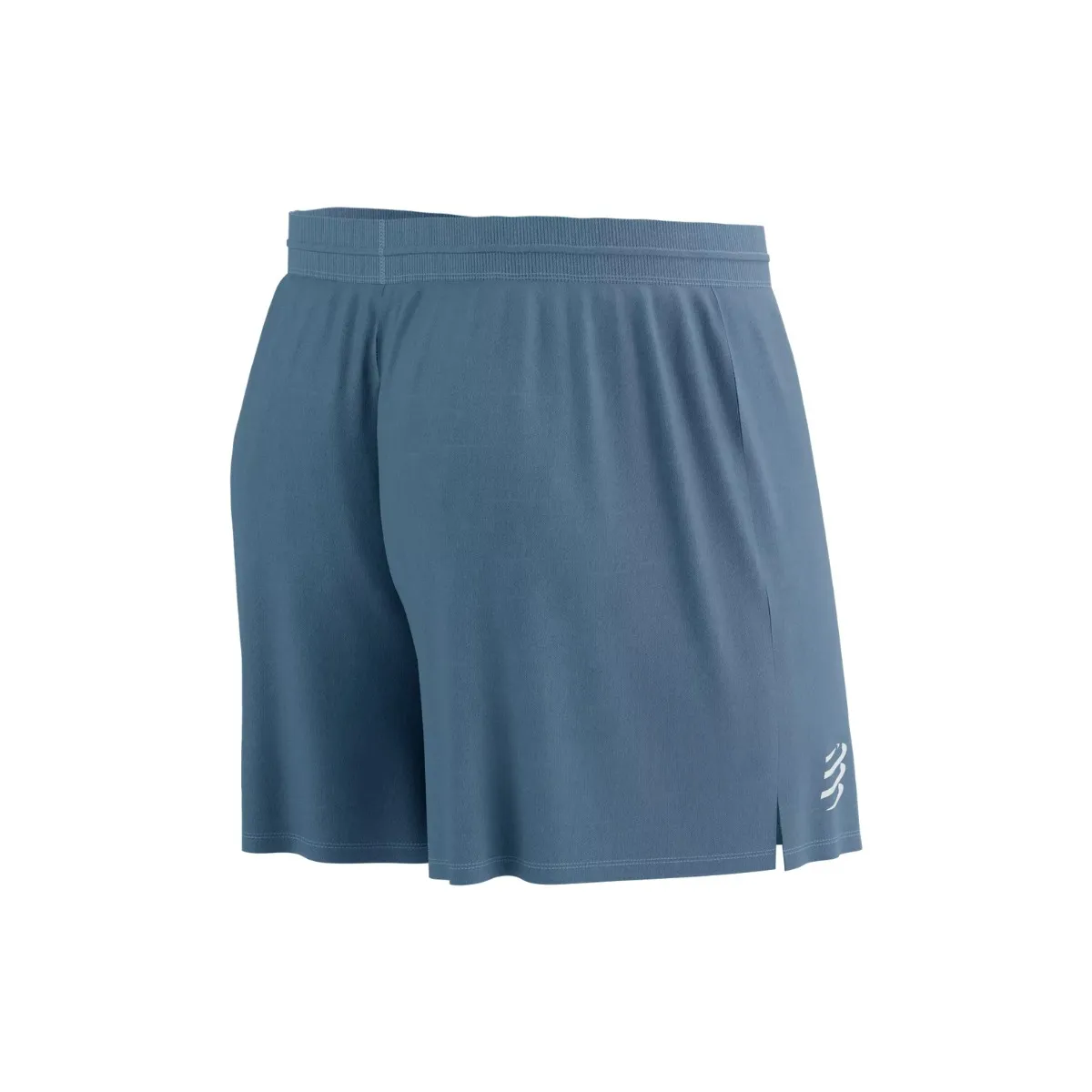 Compressport Performance Blue Shorts